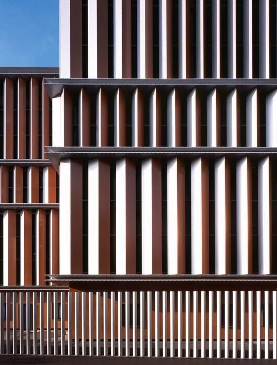 建筑设计丨竖 窗 设计合集(图19) 建筑设计丨竖 窗 设计合集(图19)