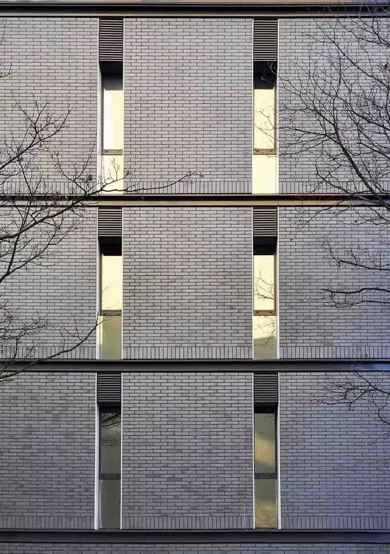 建筑设计丨竖 窗 设计合集(图20) 建筑设计丨竖 窗 设计合集(图20)