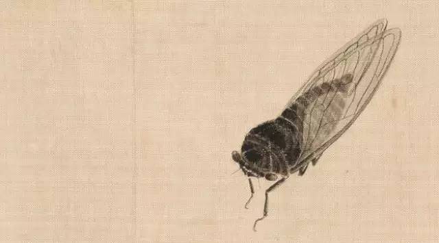 齐白石笔下的夏日生灵(图1)