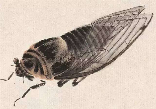 齐白石笔下的夏日生灵(图6) 齐白石笔下的夏日生灵(图6)