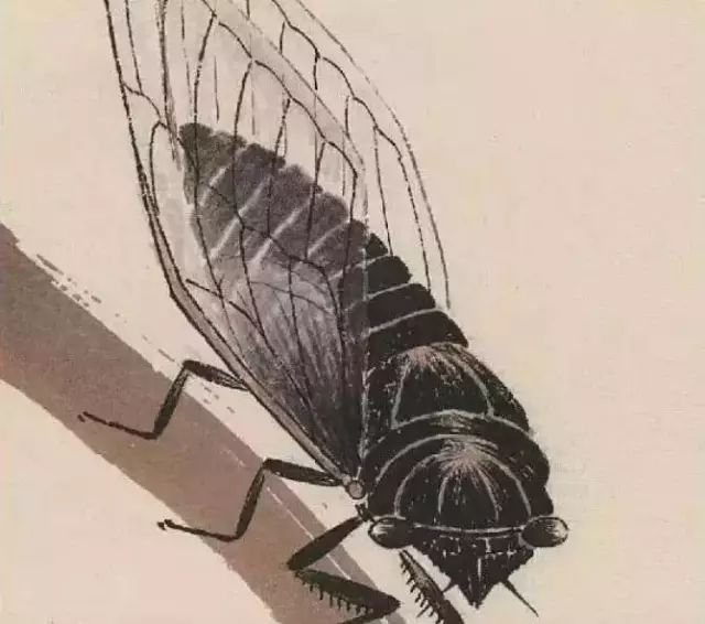 齐白石笔下的夏日生灵(图2) 齐白石笔下的夏日生灵(图2)