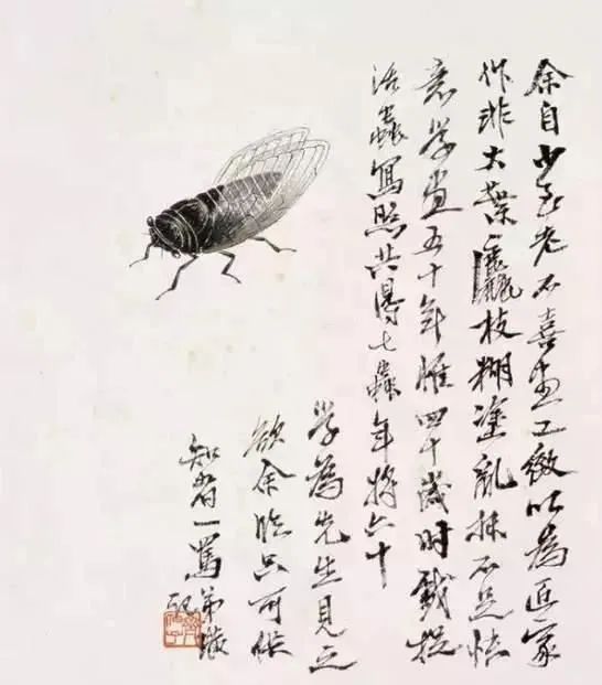 齐白石笔下的夏日生灵(图11) 齐白石笔下的夏日生灵(图11)