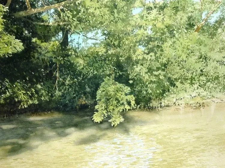 日本画家 阿部智幸:水彩画家笔中自然的光和彩,精彩绝伦!(图8) 日本画家 阿部智幸:水彩画家笔中自然的光和彩,精彩绝伦!(图8)