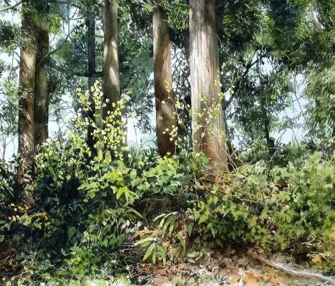 日本画家 阿部智幸:水彩画家笔中自然的光和彩,精彩绝伦!(图18) 日本画家 阿部智幸:水彩画家笔中自然的光和彩,精彩绝伦!(图18)