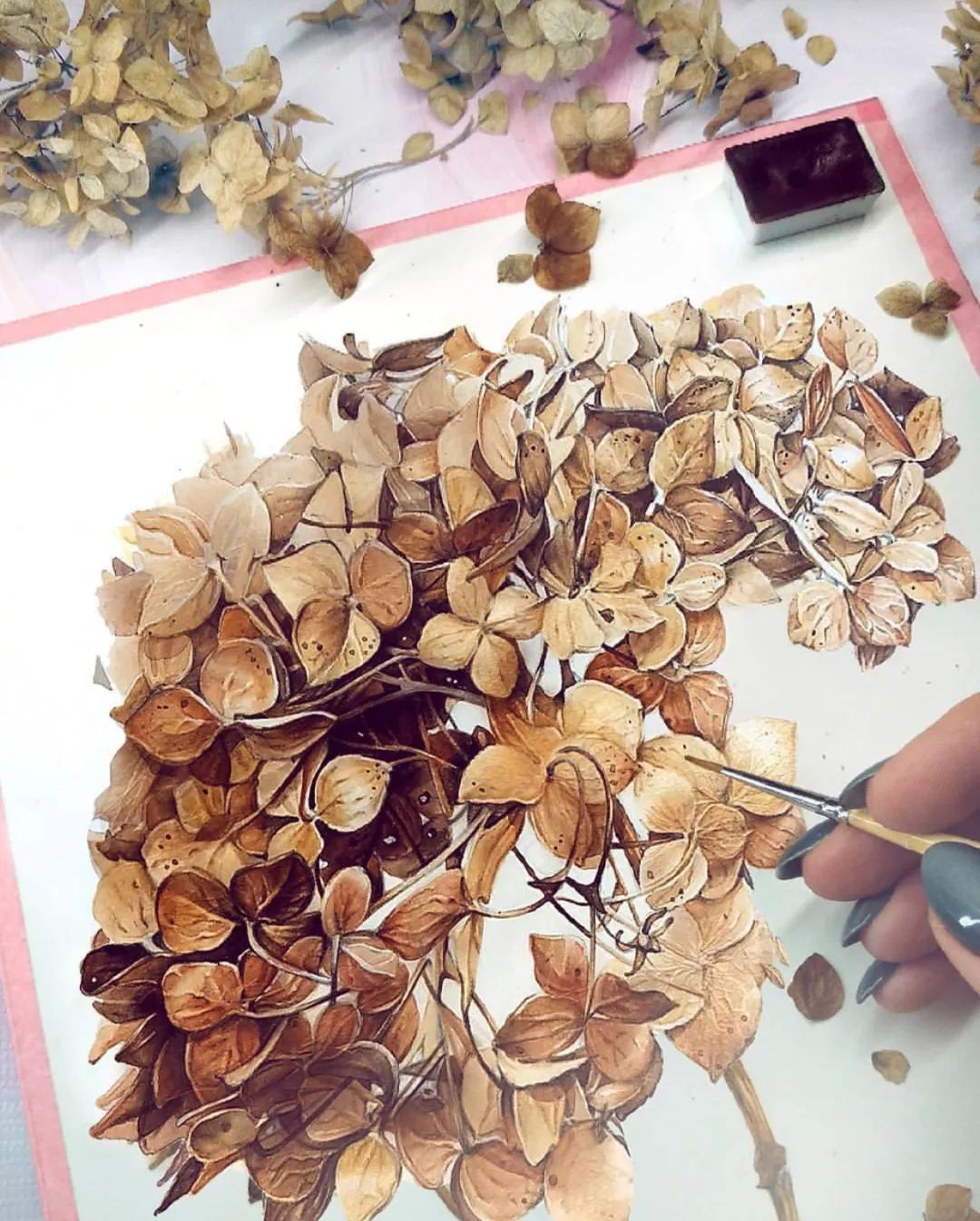 水彩花卉,仿佛闻到了花香!(图25) 水彩花卉,仿佛闻到了花香!(图25)