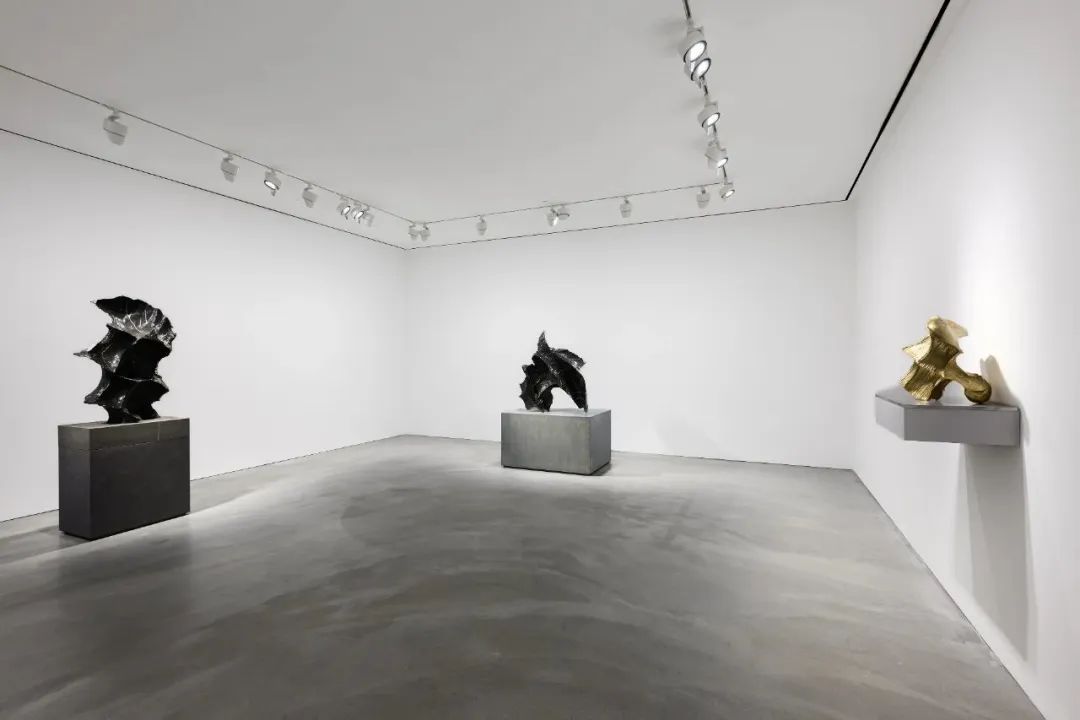 个展推荐丨隋建国:新作(图1) 个展推荐丨隋建国:新作(图1)