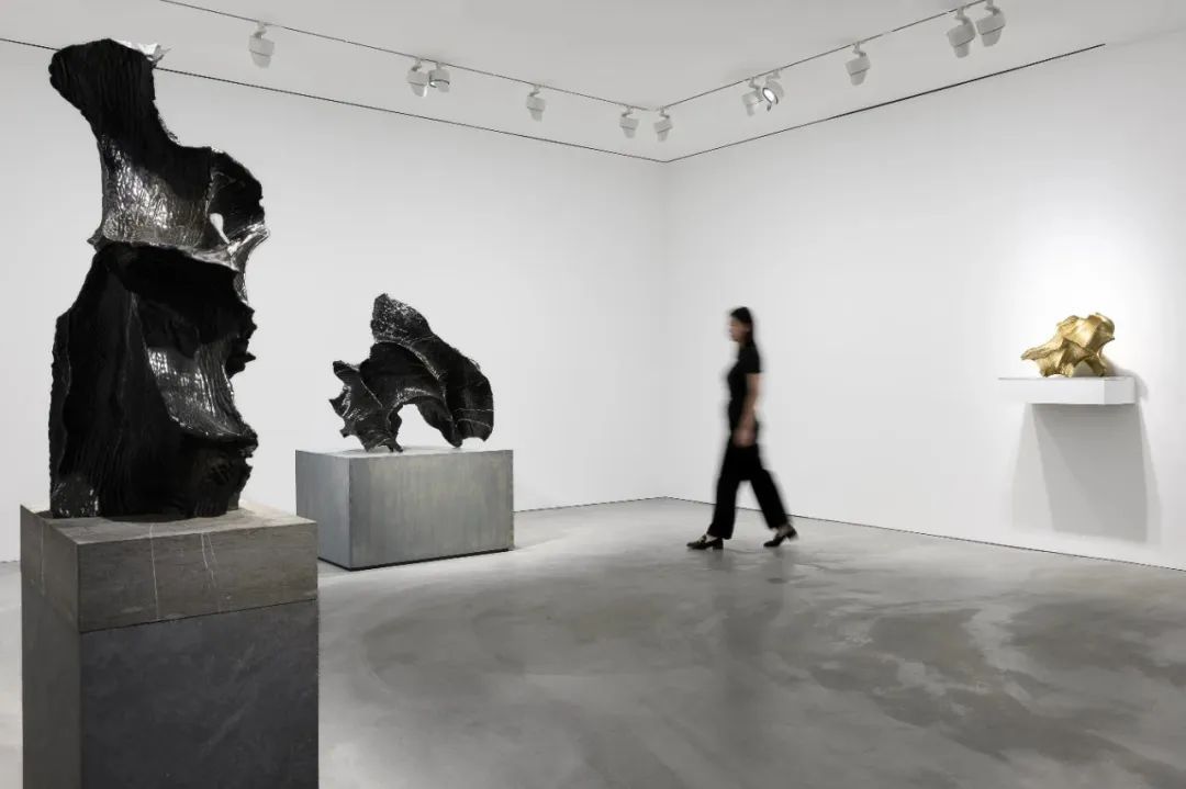 个展推荐丨隋建国:新作(图4) 个展推荐丨隋建国:新作(图4)