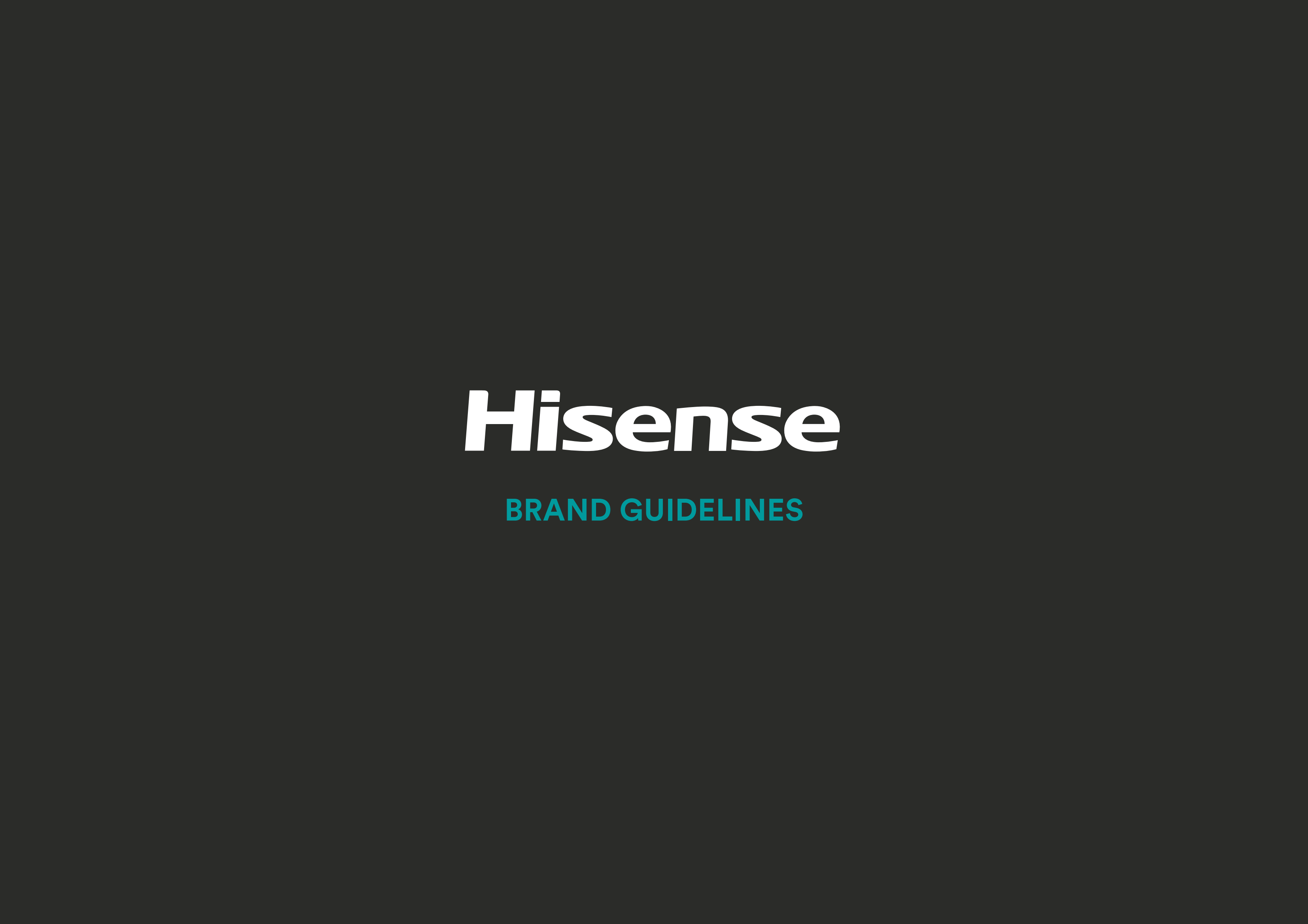 41份品牌应用手册PDF(图16) 14.Hisense_00.png