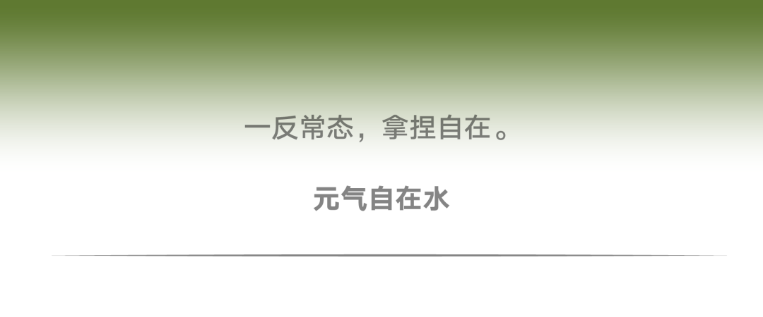 有citywalk当然有fontswalk!字体也要去公园晒太阳!(图10) 有citywalk当然有fontswalk!字体也要去公园晒太阳!(图10)