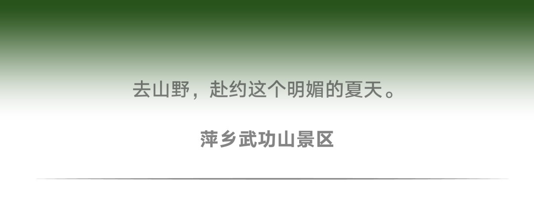 有citywalk当然有fontswalk!字体也要去公园晒太阳!(图18) 有citywalk当然有fontswalk!字体也要去公园晒太阳!(图18)