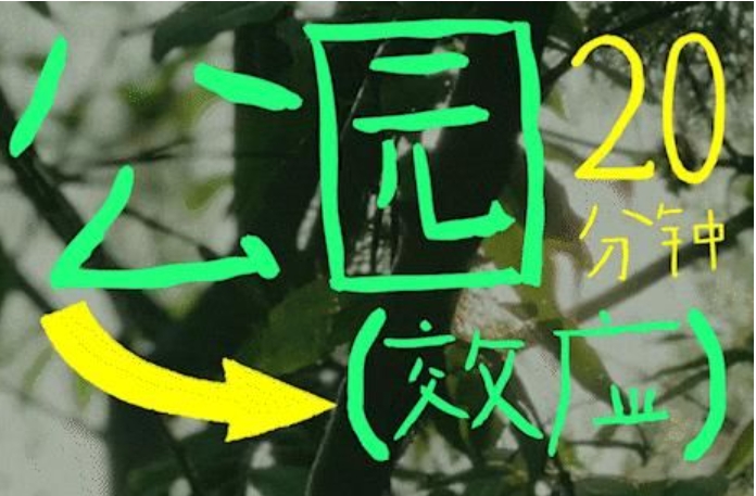 有citywalk当然有fontswalk！字体也要去公园晒太阳！