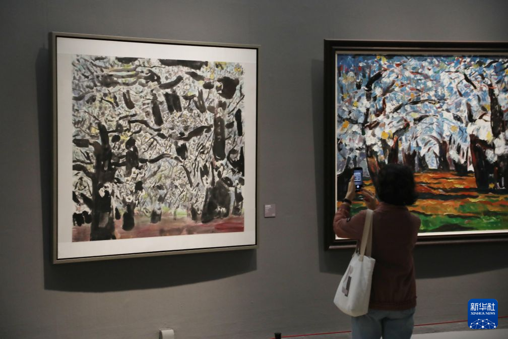 远望——铁扬作品展展览现场