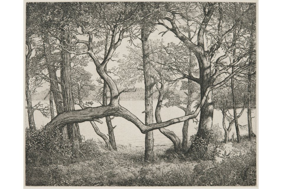 Whatcom博物馆 Forested Elizabeth Colborne 木刻版画 太平洋西北 Whatcom博物馆 Forested Elizabeth Colborne 木刻版画 太平洋西北 · SEEEEART