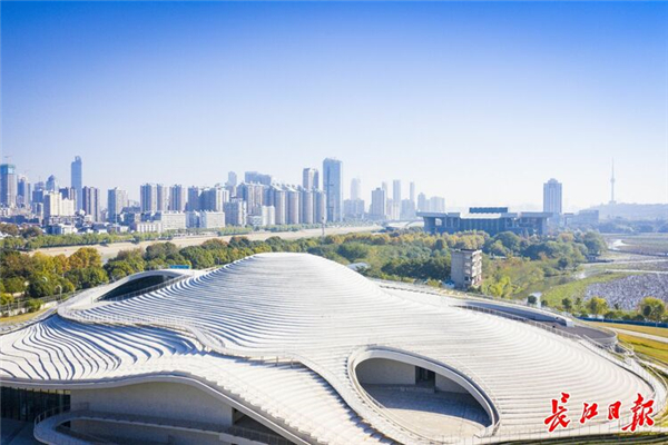 2026武汉双年展策展团队官宣:范迪安任